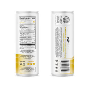 Leilo Kava Non-Alcoholic Beverage Relaxation Social Tonic - Lemon Ginger