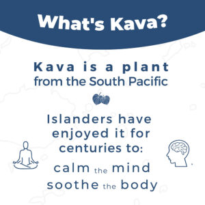 Leilo Sleep Shot Kava and Melatonin
